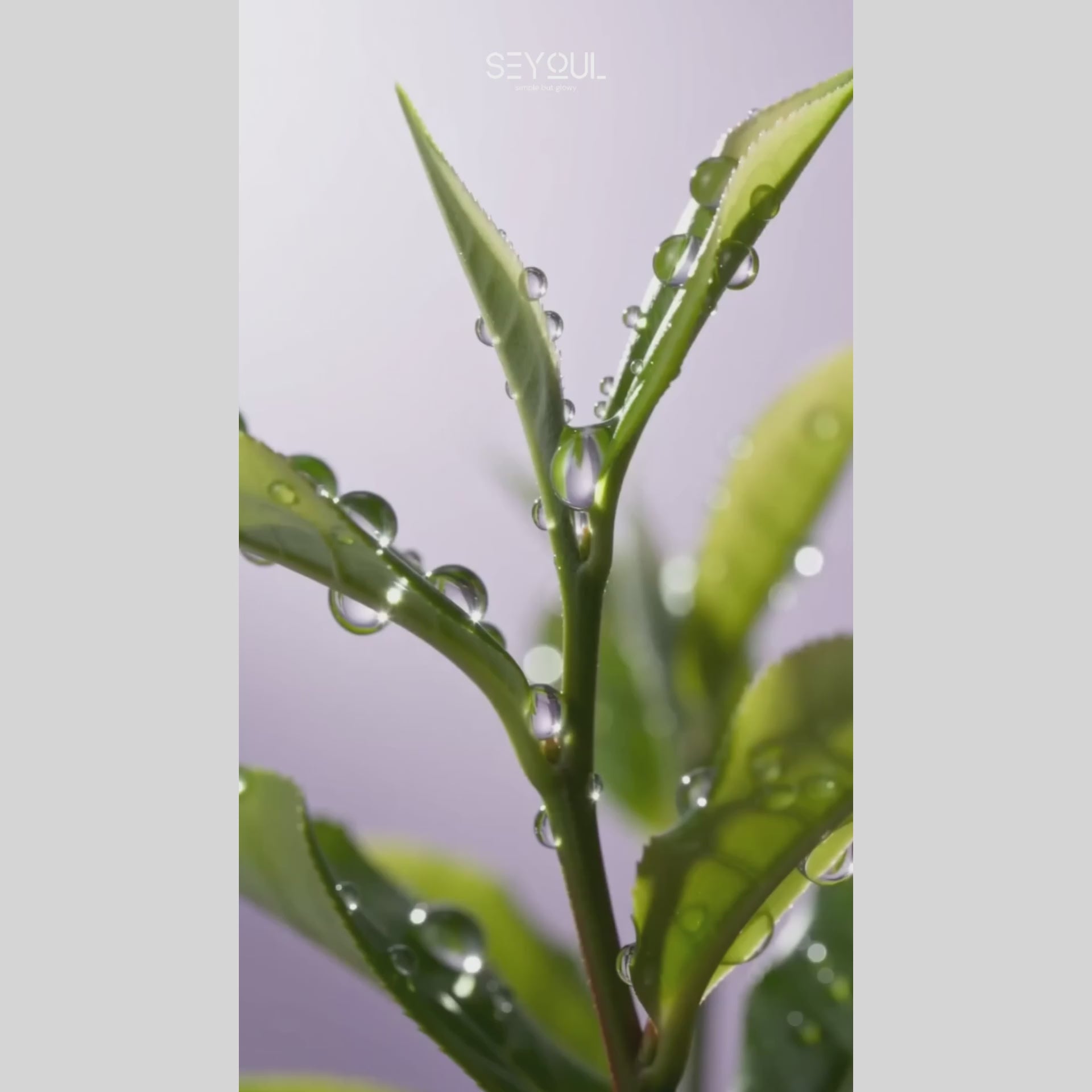 [NEW PRODUCT] SEYOUL Mela Midnight White Cream